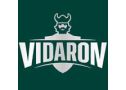 Vidaron (Видарон)